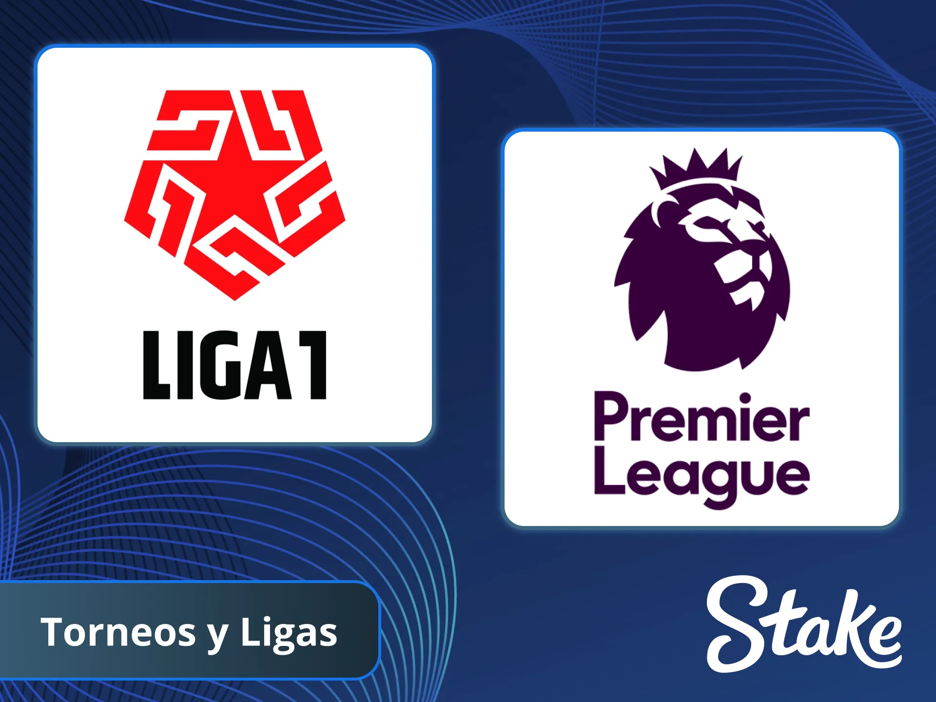 Todos tus torneos favoritos para ganar en Stake.