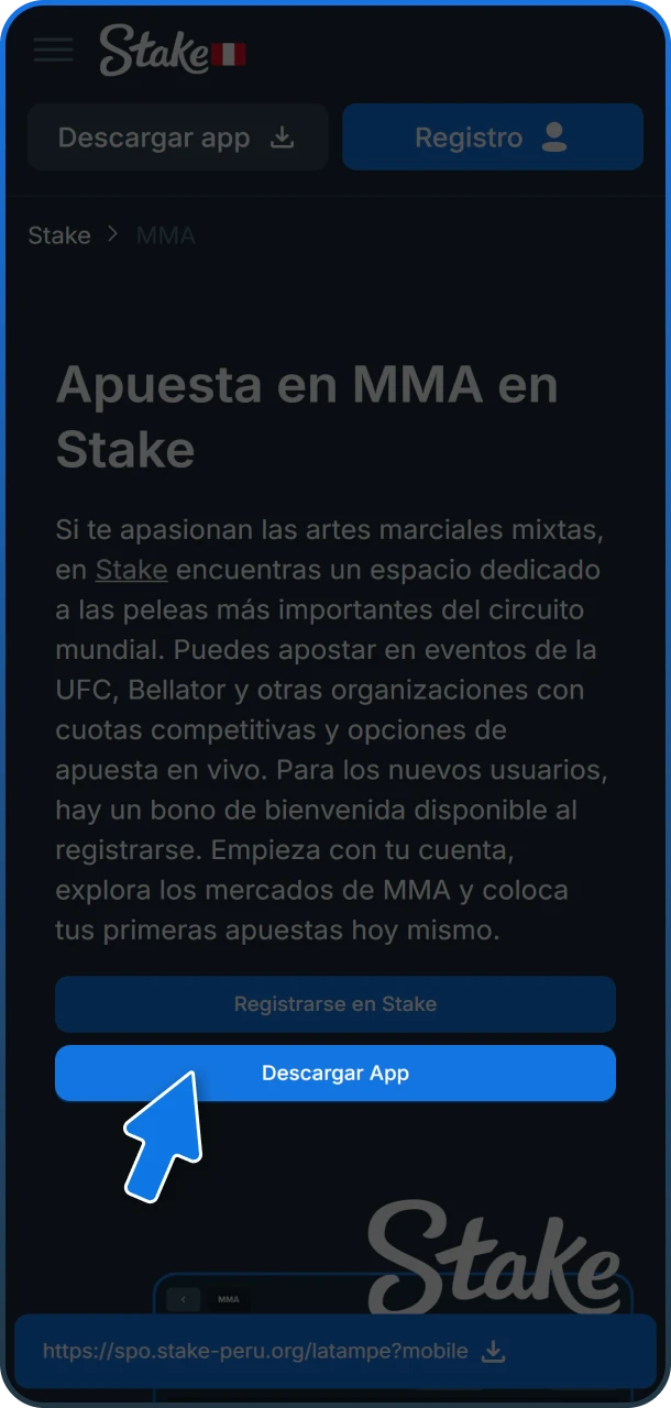 Busca la opción de descarga de la aplicación oficial en el sitio de Stake.